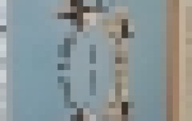 泰国双莲燕窝有添加剂吗